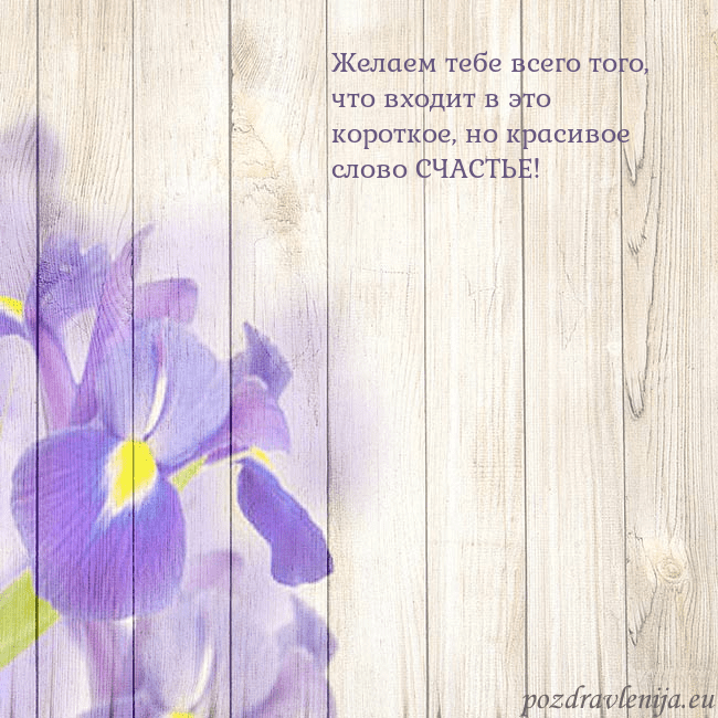 Открытка с ирисами