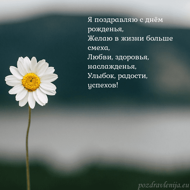 Электронная открытка с ромашкой