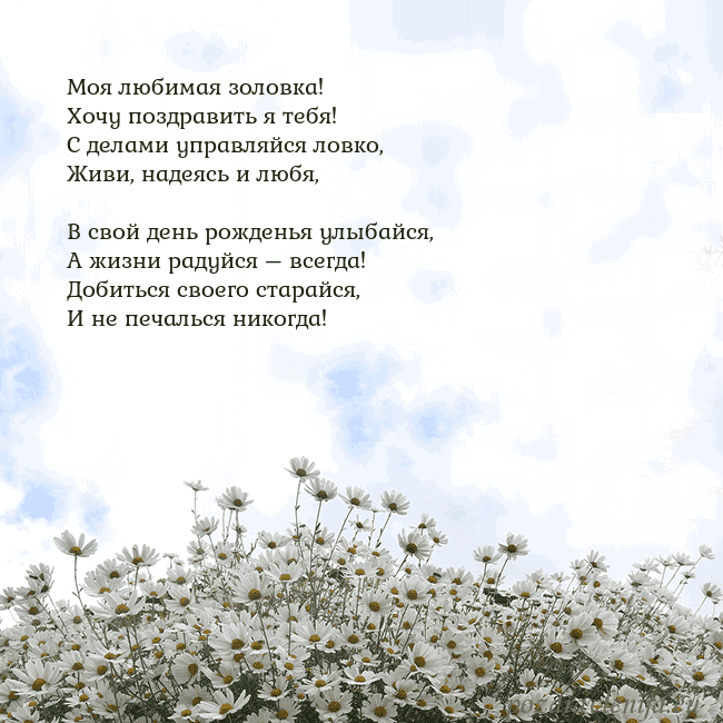 Открытка с ромашками