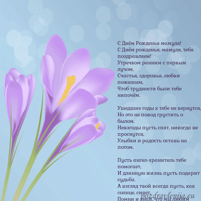 Открытка с крокусом