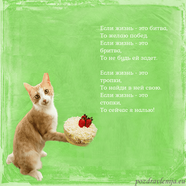 Забавная открытка на день рождения с кошкой и тортом