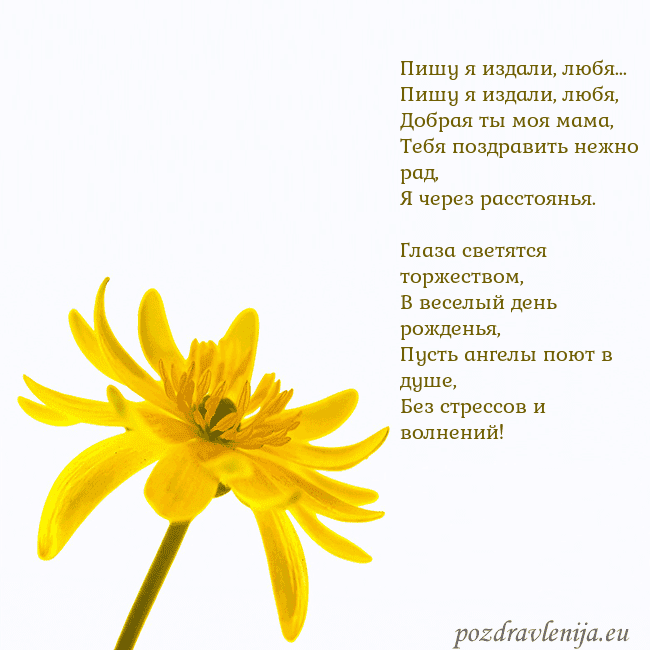 Открытка с желтым цветком