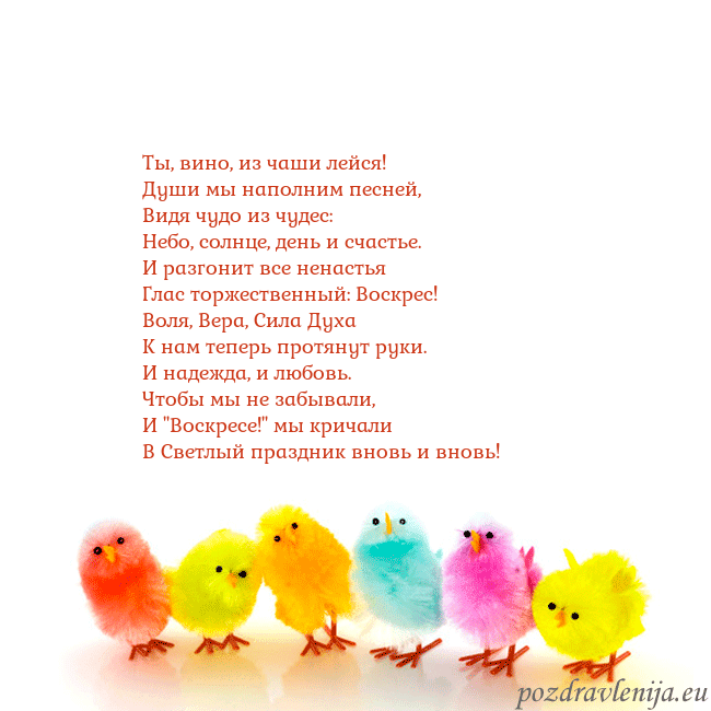 Velykos-8 Ты, вино, из чаши лейся!
Души мы наполним песней,
Velykos-8