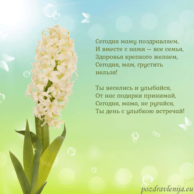 Открытка с гиацинтом