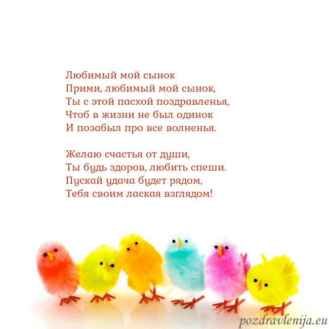 Velykos-8 Любимый мой сынок
Прими, любимый мой сынок,
Ты с Velykos-8