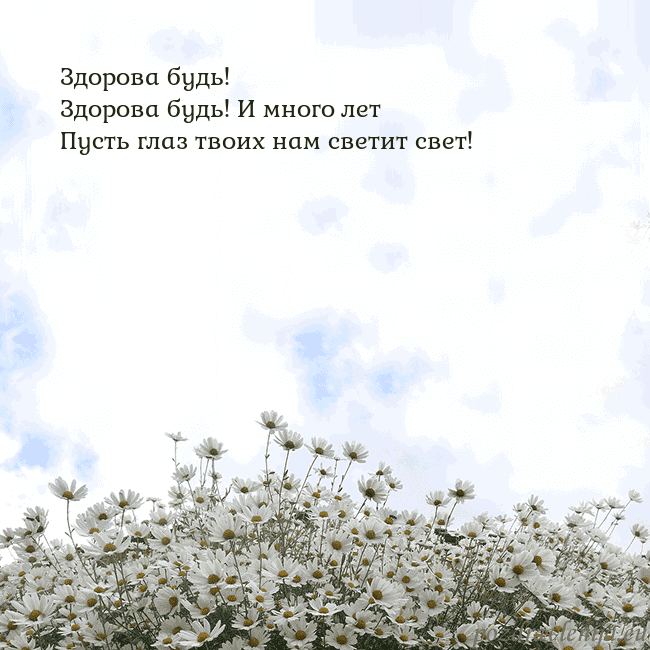 Открытка с ромашками