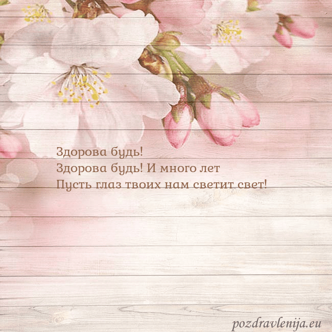 Открытка с цветами яблони