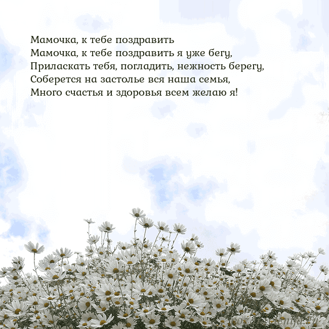 Открытка с ромашками