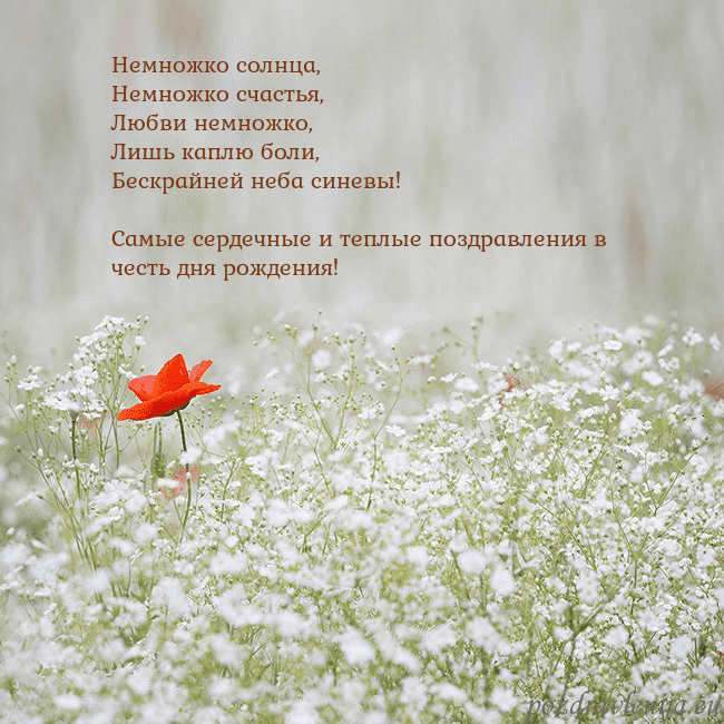 Электронная открытка с белыми цветами