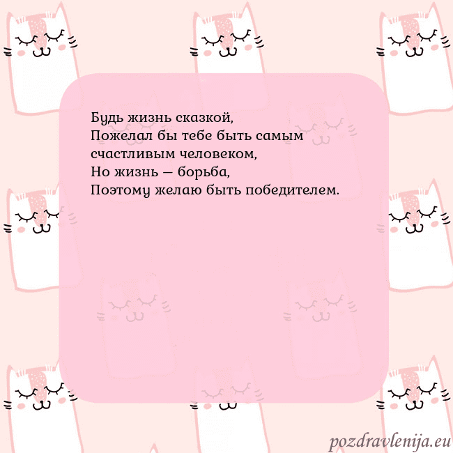 Розовая открытка с забавными кошками