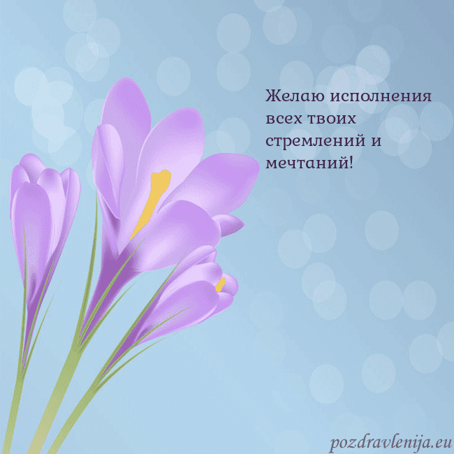 Открытка с крокусом