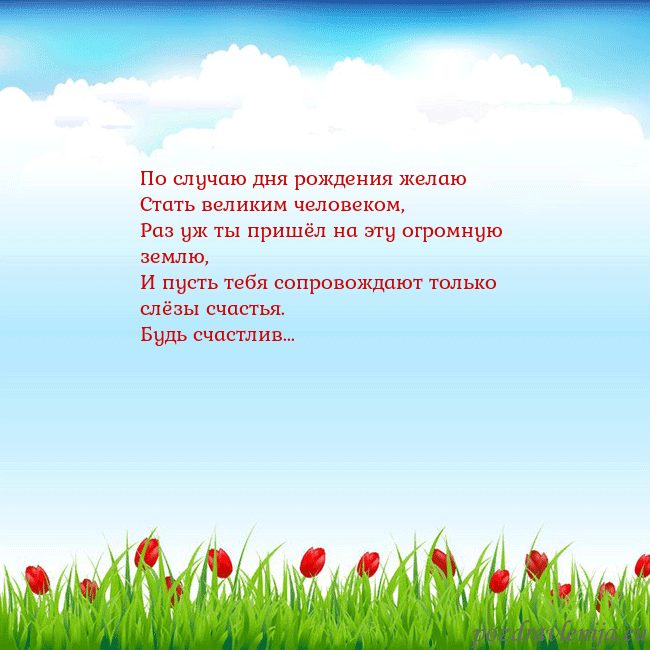Открытка с тюльпанами
