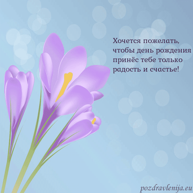 Открытка с крокусом