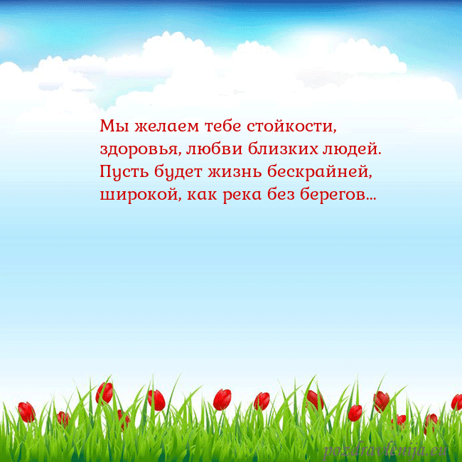 Открытка с тюльпанами