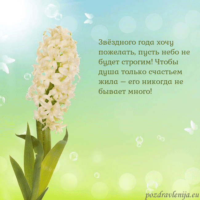 Открытка с гиацинтом