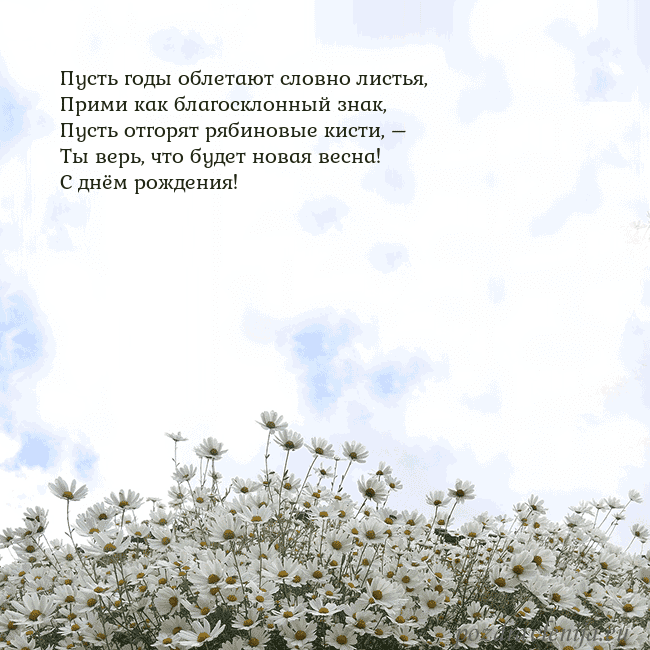 Открытка с ромашками