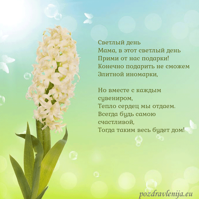Открытка с гиацинтом