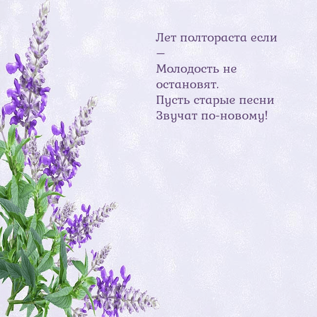 Открытка с люпинами