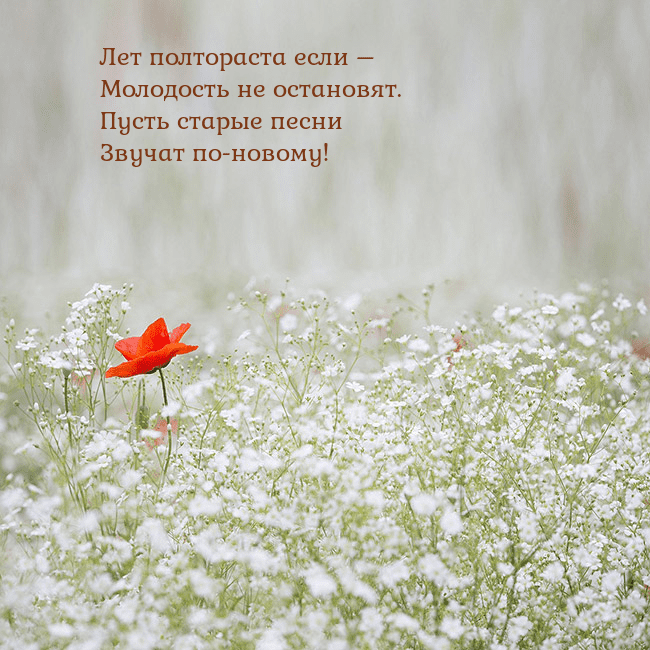 Электронная открытка с белыми цветами