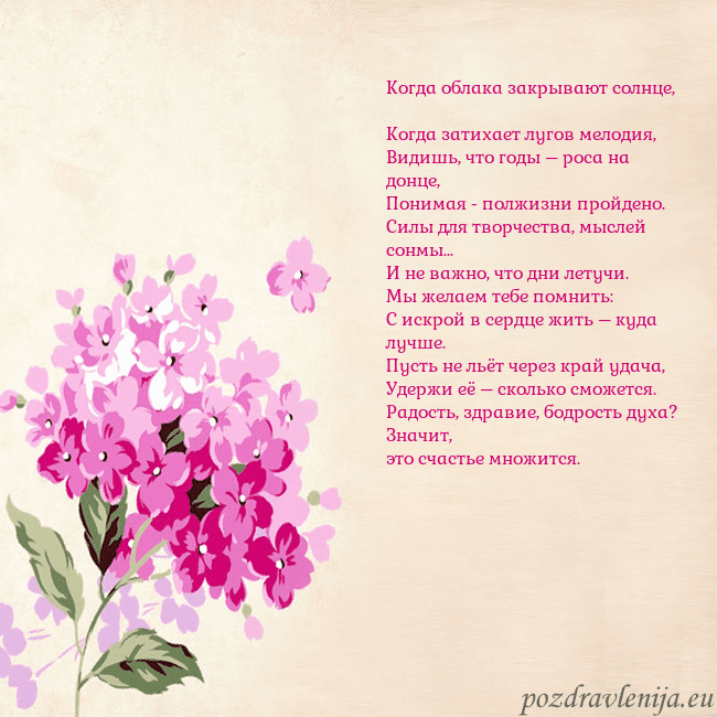 Открытка с гортензией
