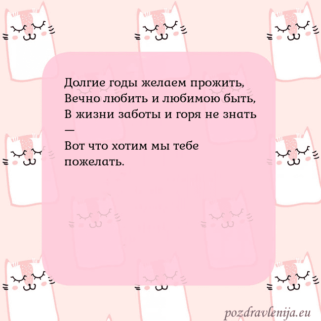Розовая открытка с забавными кошками