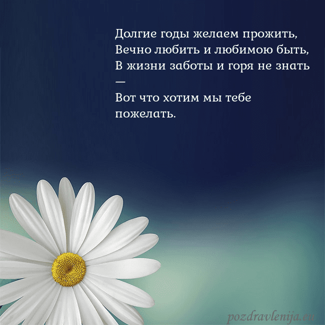 Открытка с большой ромашкой