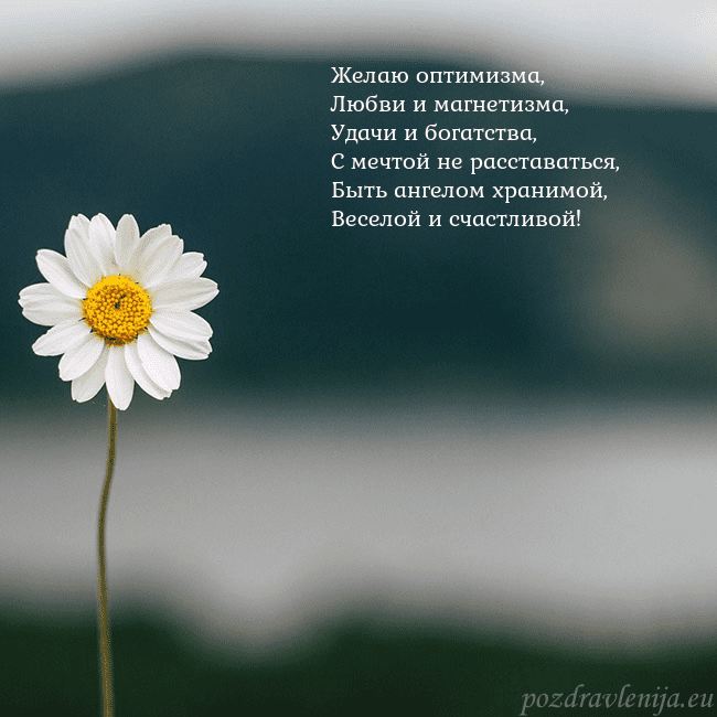 Электронная открытка с ромашкой