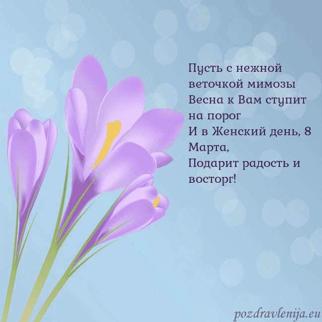 Открытка с крокусом Пусть с нежной веточкой мимозы
Весна к Вам ступит Открытка с крокусом