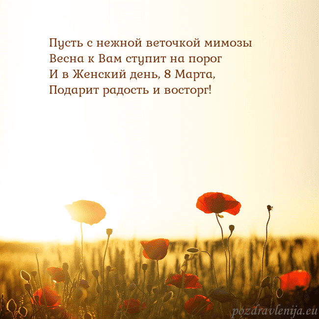 Электронная открытка с полем маков Пусть с нежной веточкой мимозы
Весна к Вам ступит Электронная открытка с полем маков