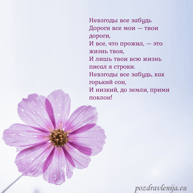 Электронная открытка с фиолетовым цветком