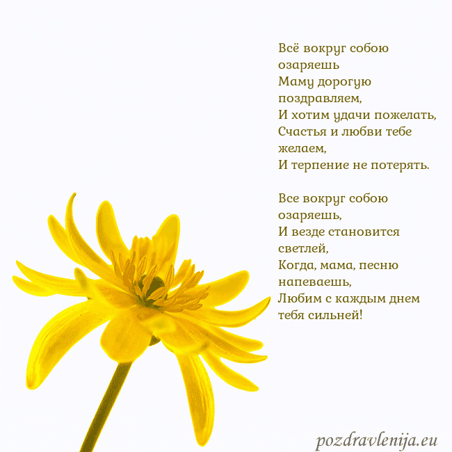 Открытка с желтым цветком