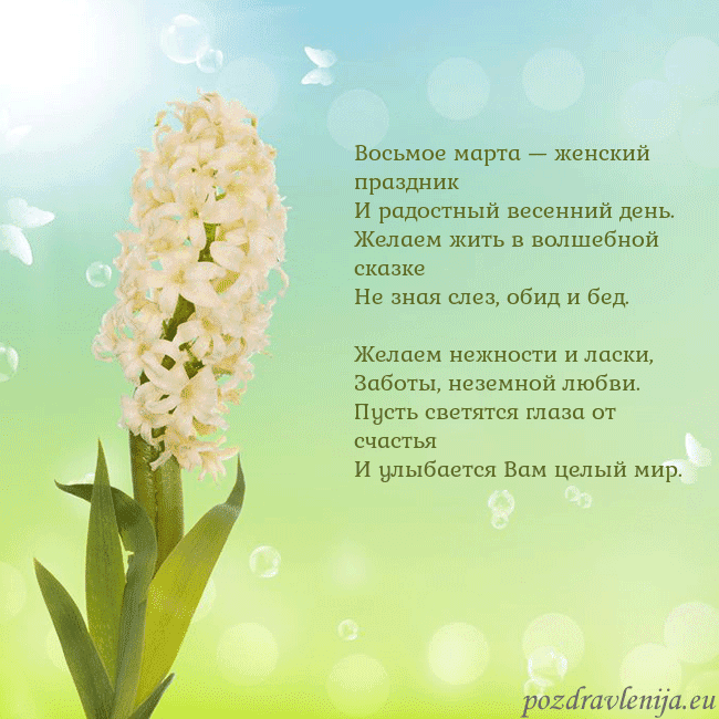 Открытка с гиацинтом Восьмое марта — женский праздник
И радостный весе Открытка с гиацинтом