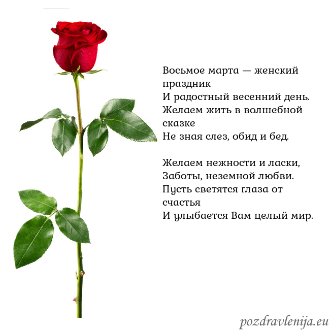 Открытка с красной розой Восьмое марта — женский праздник
И радостный весе Открытка с красной розой