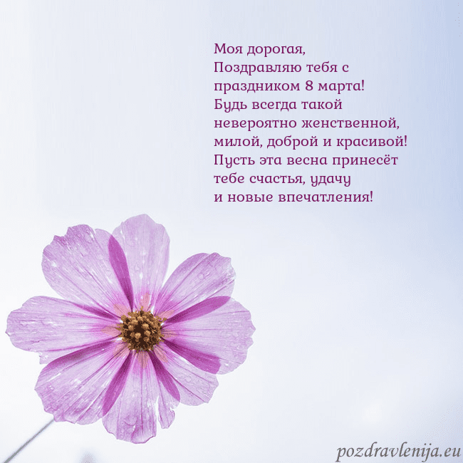 Электронная открытка с фиолетовым цветком Моя дорогая,
Поздравляю тебя с праздником 8 марта Электронная открытка с фиолетовым цветком