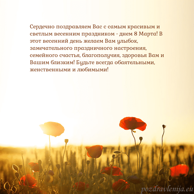 Электронная открытка с полем маков Сердечно поздравляем Вас с самым красивым и светлы Электронная открытка с полем маков