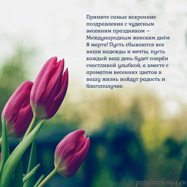 Открытка с тремя красными тюльпанами Примите самые искренние поздравления с чудесным ве Открытка с тремя красными тюльпанами