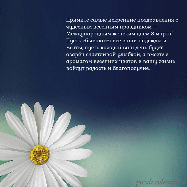 Открытка с большой ромашкой Примите самые искренние поздравления с чудесным ве Открытка с большой ромашкой