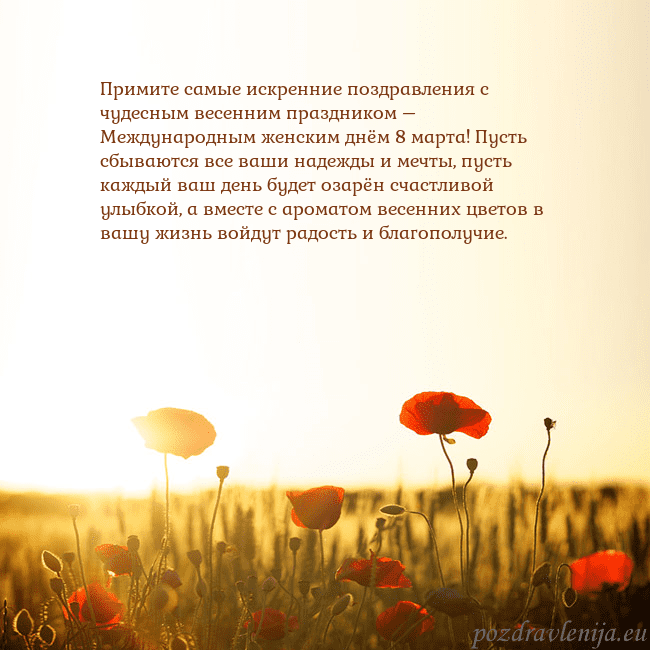 Электронная открытка с полем маков Примите самые искренние поздравления с чудесным ве Электронная открытка с полем маков