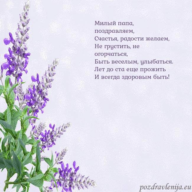 Открытка с люпинами
