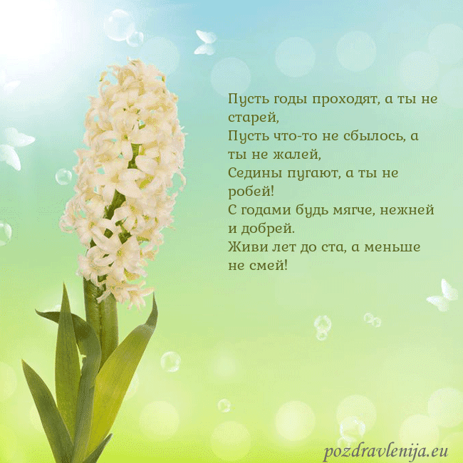 Открытка с гиацинтом