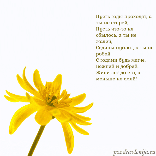 Открытка с желтым цветком