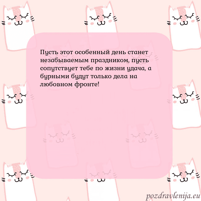 Розовая открытка с забавными кошками