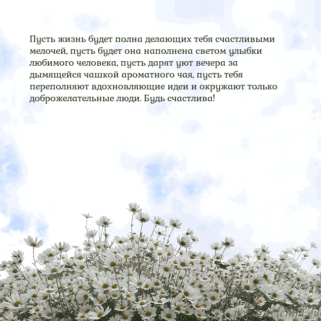 Открытка с ромашками