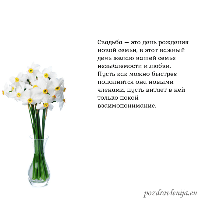 Открытка с нарциссами Свадьба – это день рождения новой семьи, в этот ва Открытка с нарциссами