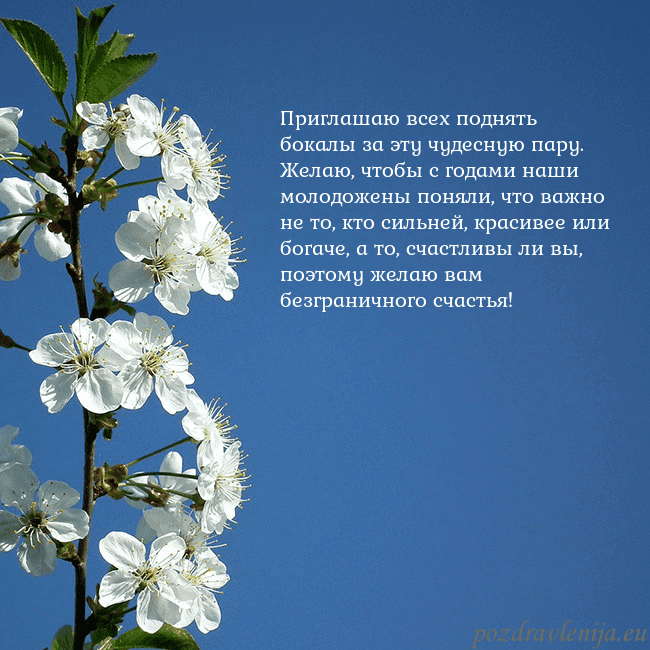 Открытка с весенними цветами Приглашаю всех поднять бокалы за эту чудесную пару Открытка с весенними цветами