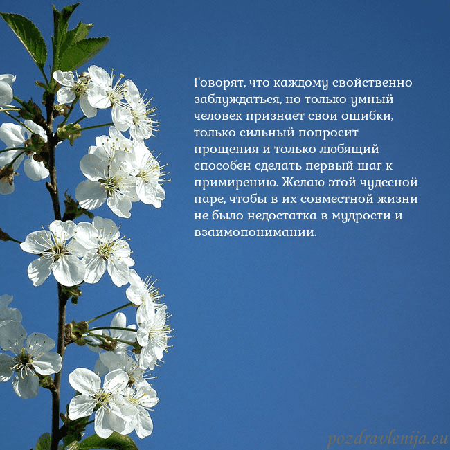 Открытка с весенними цветами Говорят, что каждому свойственно заблуждаться, но Открытка с весенними цветами