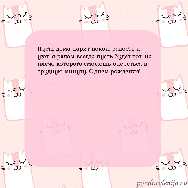 Розовая открытка с забавными кошками