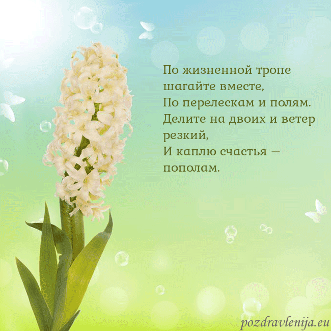 Открытка с гиацинтом По жизненной тропе шагайте вместе,
По перелескам Открытка с гиацинтом