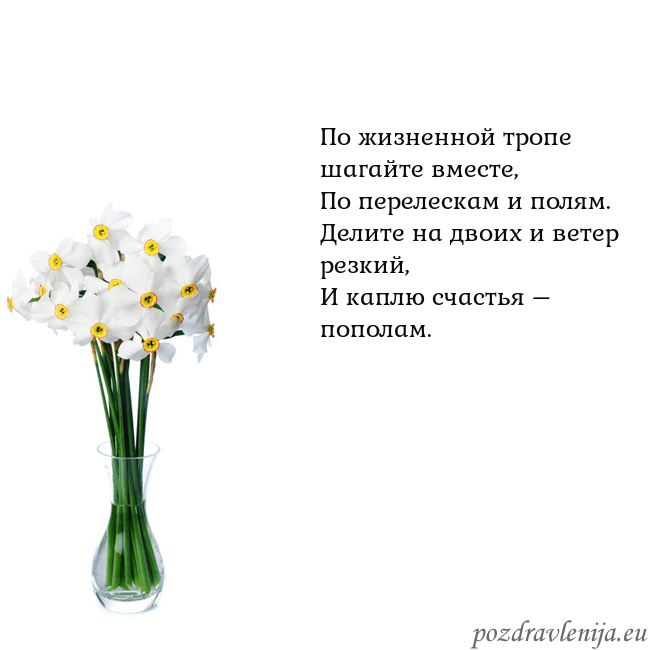 Открытка с нарциссами По жизненной тропе шагайте вместе,
По перелескам Открытка с нарциссами