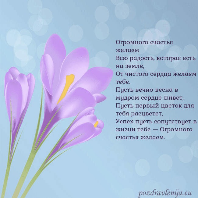 Открытка с крокусом